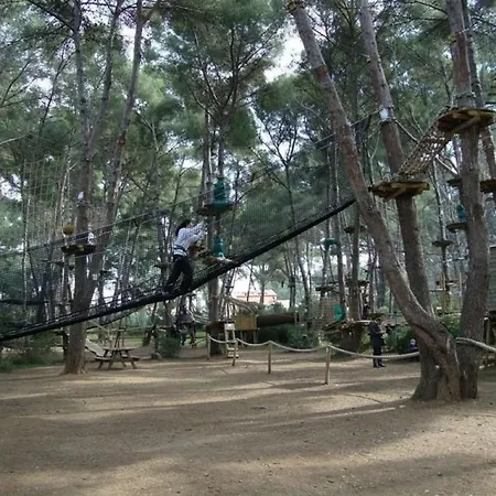 Rouveau